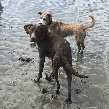 Land-idyll * Osterhever