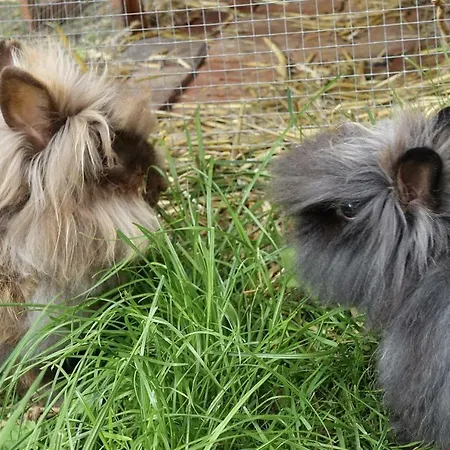 Land-idyll * Osterhever