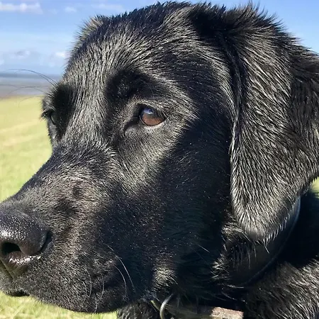 Land-idyll Lejlighed Osterhever