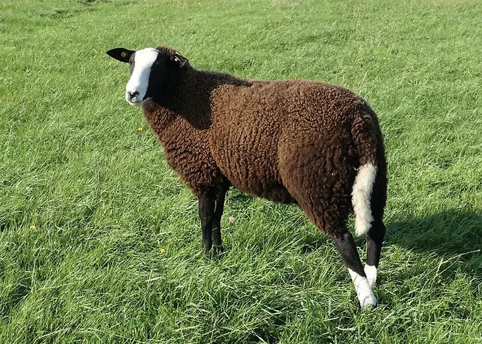 Appartement Land-idyll